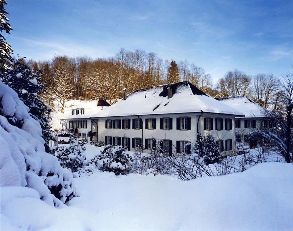 Chateau Attisholz Riedholz المظهر الخارجي الصورة